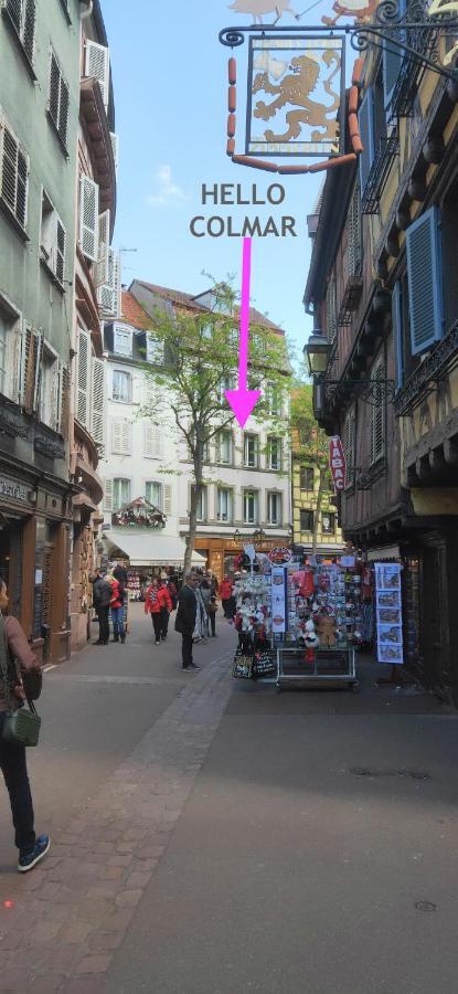 Ferienwohnung Hello Colmar, Duplex Cathedrale, Historic Center Exterior foto